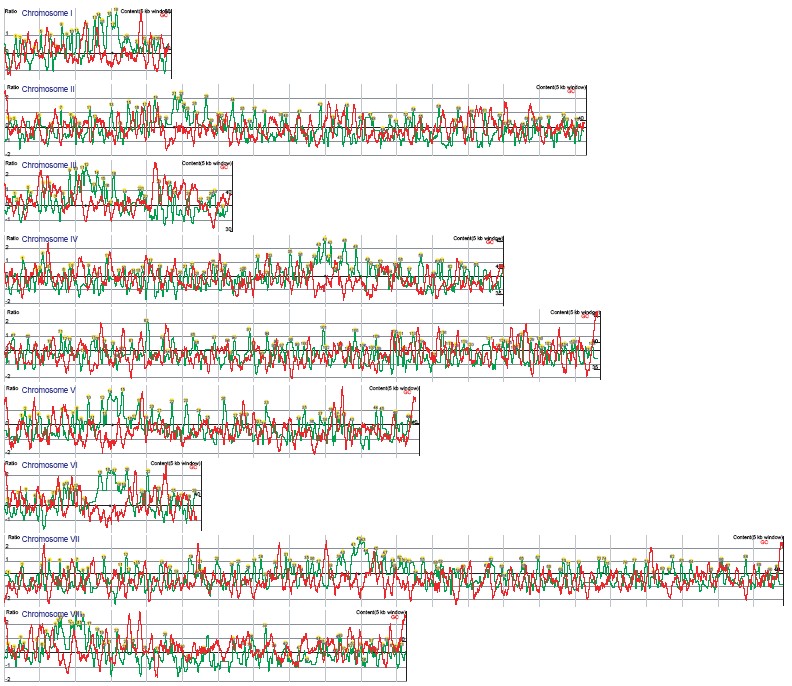 Figure 2. Visual representation of the interactions between Mcd1-18Myc and the S. cerevisiae genome in W303a.