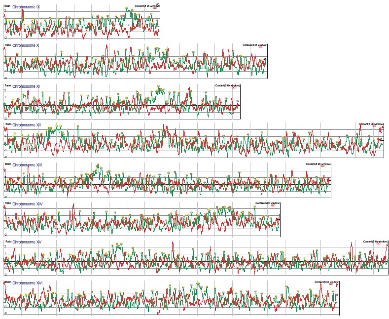 Figure 2. Visual representation of the interactions between Mcd1-18Myc and the S. cerevisiae genome in W303a.