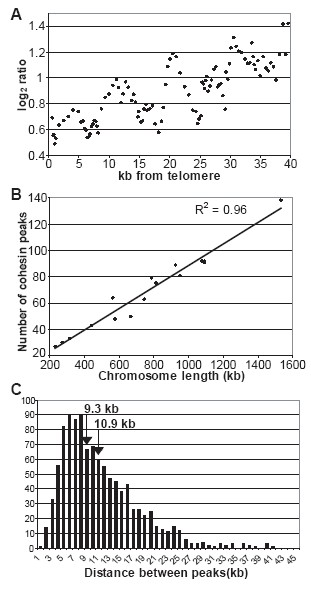 Figure 3. Features of peaks.